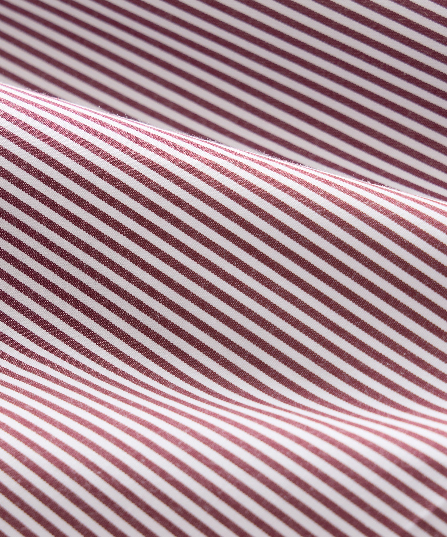 Portuguese Cotton Boxers - Image 9