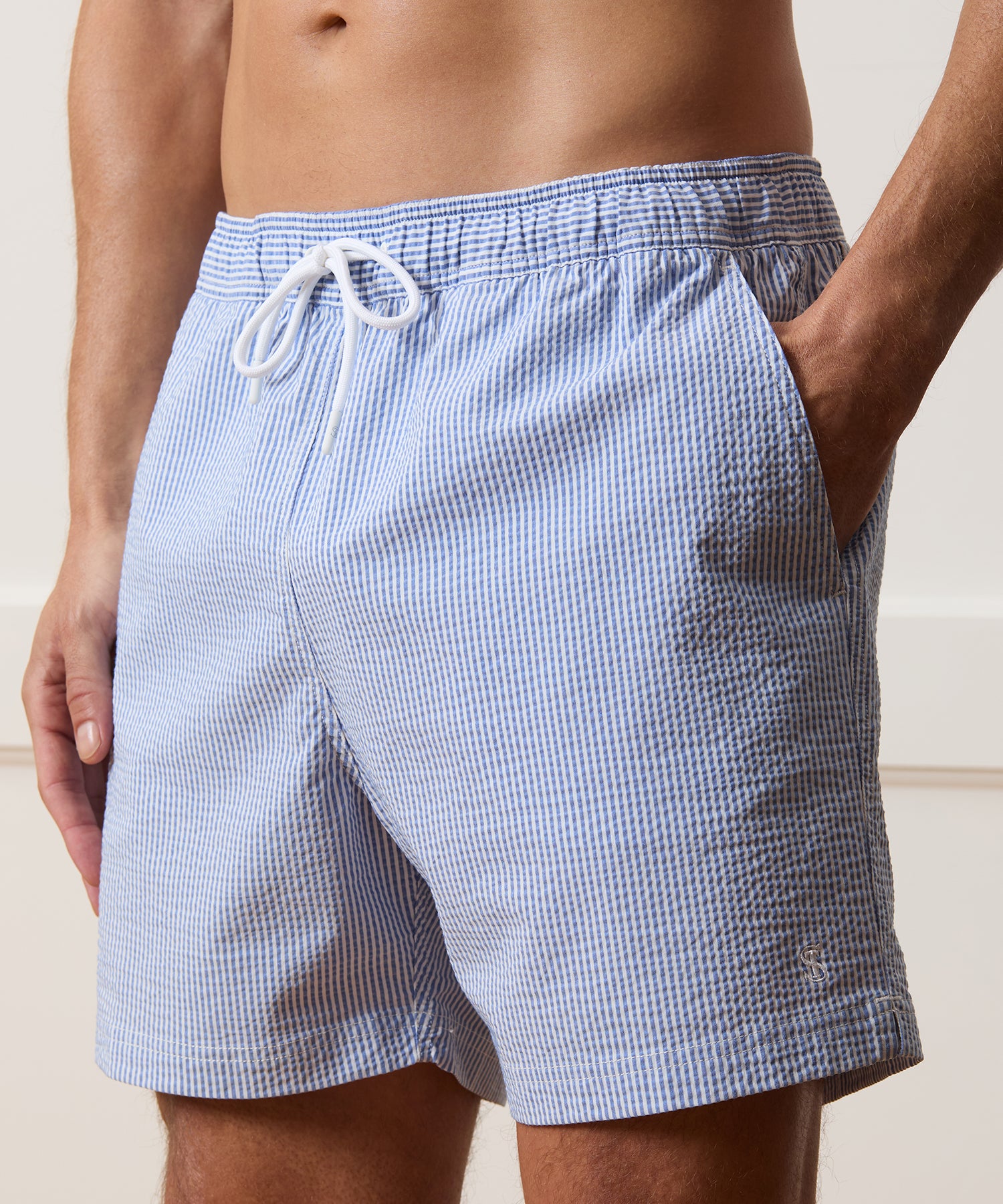 5 Seersucker Montauk Swim Trunk - Image 3