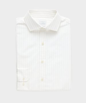 Cotton Spread Collar Dress Shirt