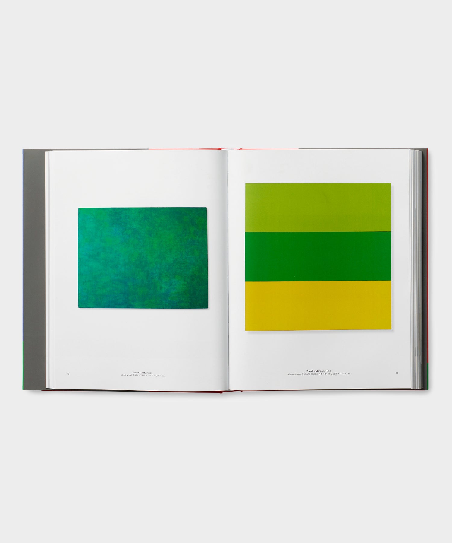 Phaidon Ellsworth Kelly Book - Image 3