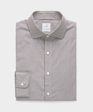 Spread Collar Poplin Dress Shirt in Brown Banker Stripe